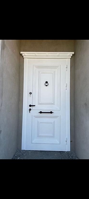 Giriş qapıları: Ev, ofis və ya digər binaların əsas girişləri üçün nəzərdə tutulmuş — 9