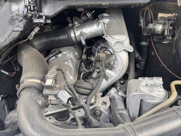 Mercedes-Benz: Mercedes-Benz Спринтер: 1998 г., 2.9 л, Механика, Дизель, Бус