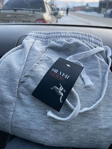 Брюки: Мужские брюки свободного кроя Silver Mode Relax Pro, светло‑серые — 1