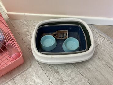 аквариум для черепахи: Комплект для кошки/кота: - Туалет-лоток открытого типа (овальной