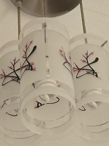 Накопительные водонагреватели: Переноска для животных + электрический водонагреватель (бойлер) 1) — 10