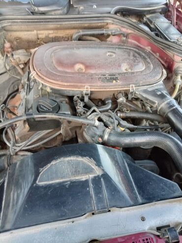 Mercedes-Benz: Mercedes-Benz W124: 2.3 l | 1991 il Sedan — 5