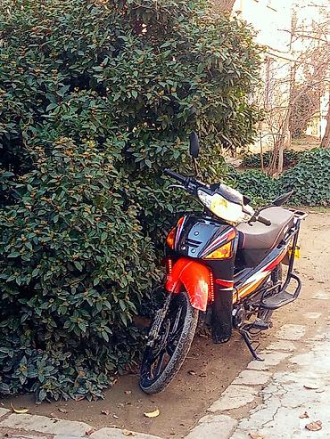 suret paneli: - 50, 50 sm3, 2024 il — 1