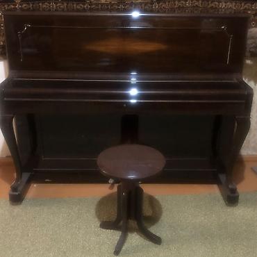 ovcular evi: Piano, Petrof, Akustik, Yeni — 5