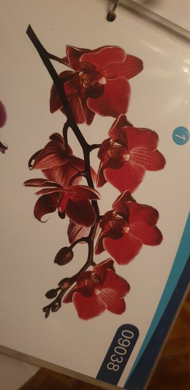 Натяжной потолок: Натяжные потолки не воняет 100% с российским материалом гарант 15 — 12