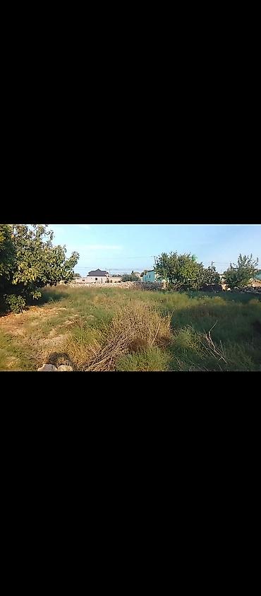 Torpaq sahələrinin satışı: Tikinti — 2