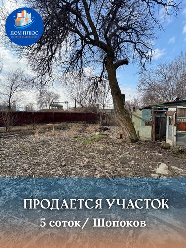 дом под бизнес: 5 соток, Для сельского хозяйства