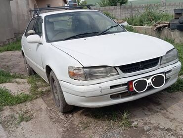 королла: Toyota Corolla: 1996 г., 1.5 л, Автомат, Бензин, Седан