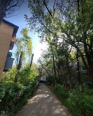 Продажа квартир: 2 комнаты, 42 м², Политех Хрущевка, 1 этаж, Косметический ремонт — 3