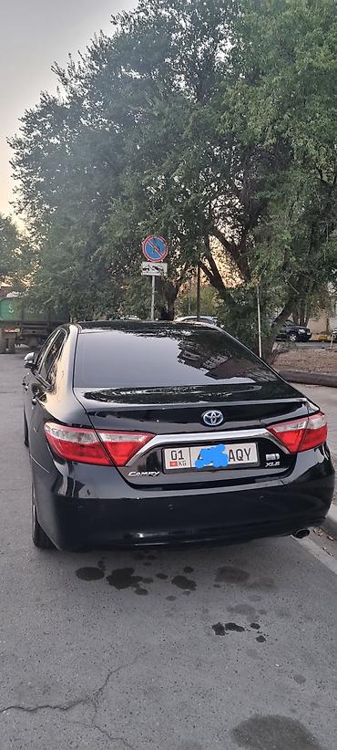 хром пленка: Toyota Camry: 2017 г., Гибрид, Седан — 1