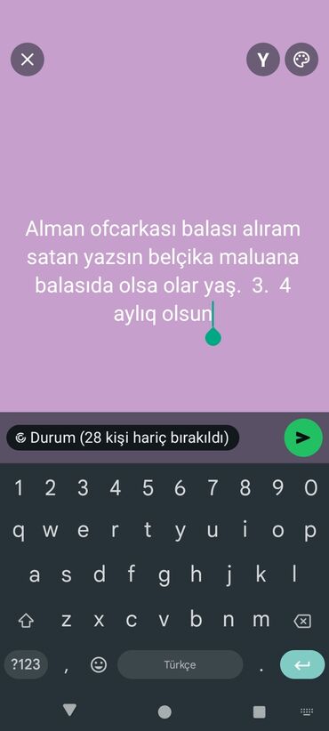 it satışı bakı: Alman çoban iti, 1 ay, Erkek