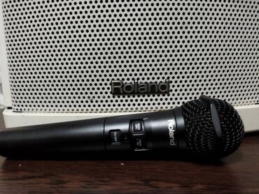 Динамики и колонки: Продаю активную колонку Roland ba-55 в комплекте с радио микрофоном