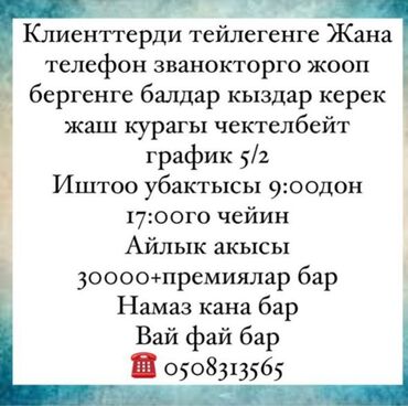 fly bl8605 телефон в Кыргызстан | FLY: Клиенттерди тейлегенге Жана телефон званокторго жооп бергенге
