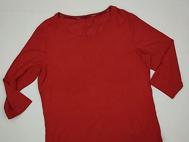 apple bottom: Bluzka damska, rozmiar 2XL — 1