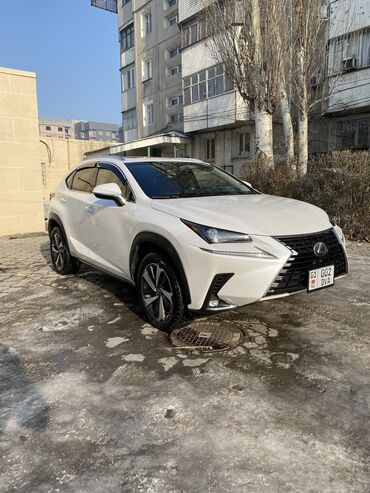 lexus nx 300 цена бишкек: Lexus NX 300 Год: 08/18 Цвет: белый жемчуг Обьем: 2.0 турбо Пробег