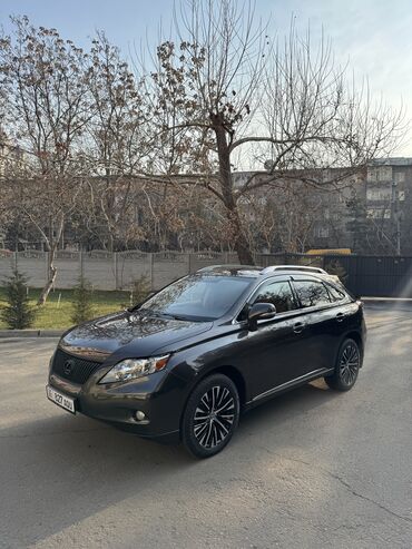 зимные: Lexus RX: 2010 г., 3.5 л, Автомат, Бензин, Внедорожник