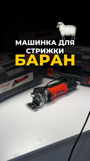 Бытовая техника: Машинка для стрижки баран | Овец at lalafo.kg Бытовая техника: Машинка для стрижки баран | Овец