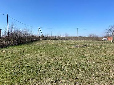 Torpaq sahələrinin satışı: Kənd təsərrüfatı — 3