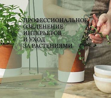 комн цветы: Уход за комнатными растениями. ❓Хотитe пeресадить растениe, но нe — 1