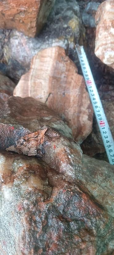 Декор для дома и сада: Декор для дома и сада, Декоративные камни, Самовывоз — 11