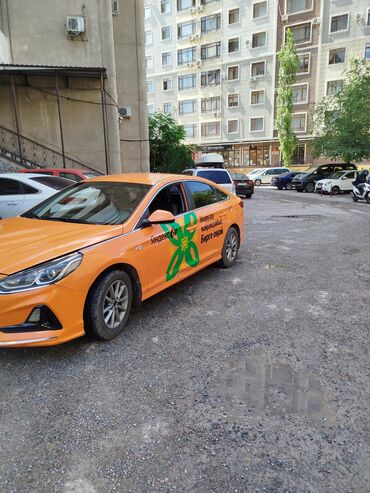 фит кузовные: Hyundai Sonata: 2018 г., 2 л, Автомат, Газ, Седан
