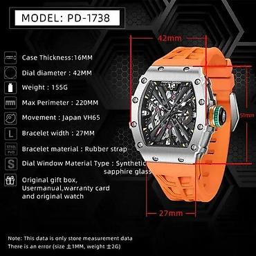 Ručni satovi: Pagani Design PD-1738 -Crna/Black- Richard Mille Homage — 13