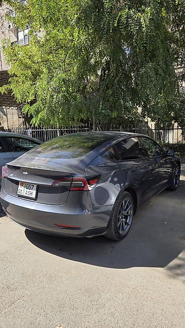 byd dolphin: Tesla Model 3: 2023 г., Автомат, Электромобиль, Седан — 2