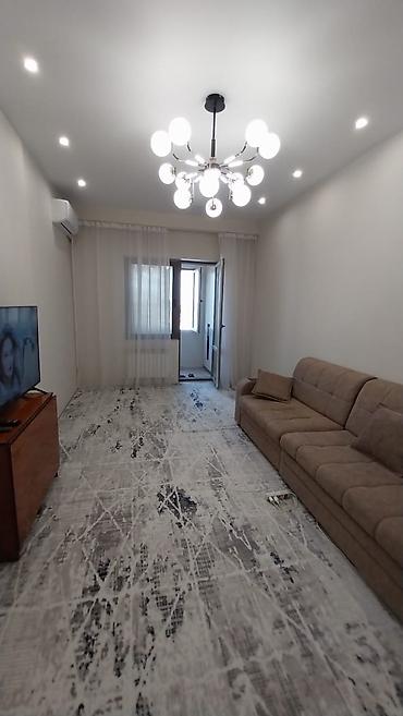 50: 1 комната, 50 м², Золотой квадрат Элитка, 8 этаж, Евроремонт — 1