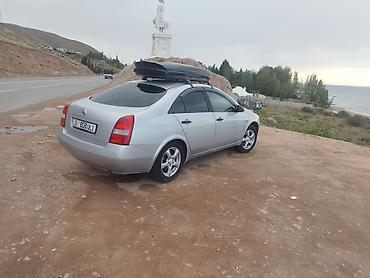 катушка 1 8: Nissan Primera: 2002 г., 1.8 л, Механика, Газ, Седан — 4