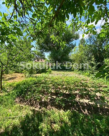 Продажа коттеджей и домов: 🏠Продаётся дом в с Сокулук 🟡Комнаты: 6 🟡Участок: 13 соток 🟡Отопление — 4