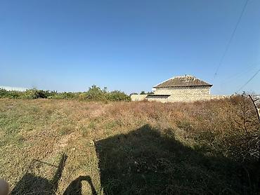 binə atçılıq torpaq: 23 sot, Kənd təsərrüfatı, Mülkiyyətçi, Kupça (Çıxarış) — 8