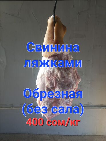 1 кг мяса цена бишкек: Чочконун эти : 10 кг ашык, Акысыз жеткирүү