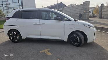 BYD: BYD : 2021 г., Автомат, Электромобиль, Универсал — 5