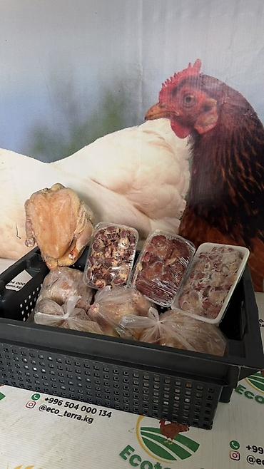 Курица и индейка Ecoterra — тушка и субпродукты - Курица: тушки