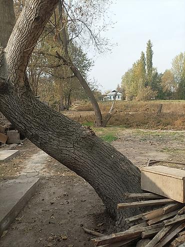 продам дом в рассрочку: 5 комнат, 100 м², 30 соток, Новониколаевка, Собственник — 1
