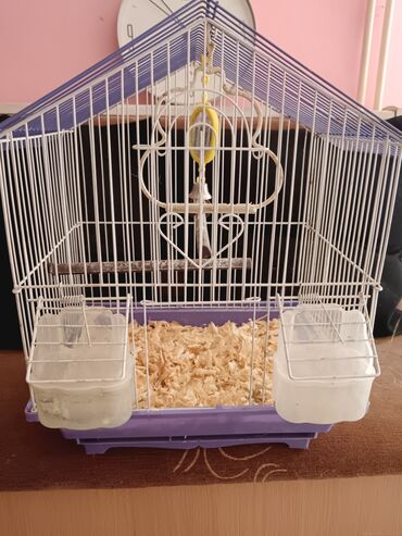 kavez za ptice: Kavez nov na prodaju. Moze i papagaji tigrice i za hrcka