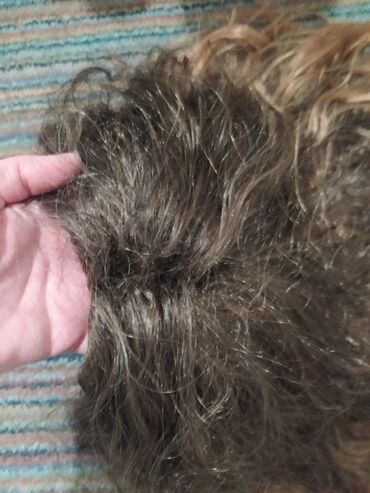 Perike i klipse: Perika ombre,tamnija i svetlija braon,izuzetno dugačkaima prozračnu na lalafo.rs — 17 Perike i klipse: Perika ombre,tamnija i svetlija braon,izuzetno dugačkaima prozračnu — 17