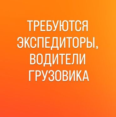 второй водитель: В торговую компанию требуются экспедиторы, водители грузовика 5 ТН