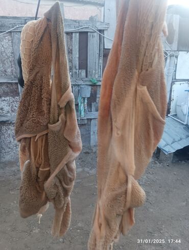 1ededi 50 qepik siveji şəkildəki formada tər təmiz 100 dən yuxarı