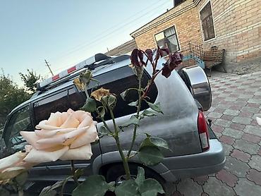 аварийная внедорожник: Suzuki Grand Vitara: 2003 г., Автомат, Внедорожник — 6
