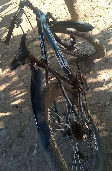 gt la bomba: Velostrim dağ velosipedi - Çərçivə: yüngül lehimli, idman — 2