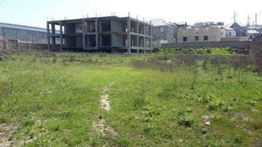 Torpaq sahələrinin satışı: 32 sot, Mülkiyyətçi, Kupça (Çıxarış)