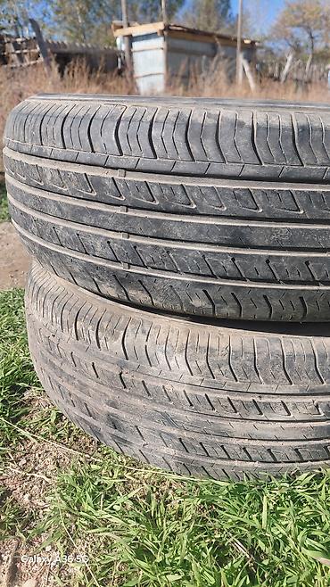 surf 185: Летние шины Hankook, бескамерные (tubeless), радиальные. - Размер — 1