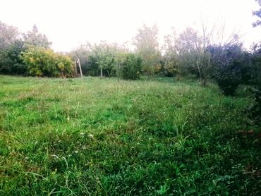 Bağ evlərinin satışı: Xaçmaz, 300 kv. m, 4 otaqlı, Qaz, İşıq — 4