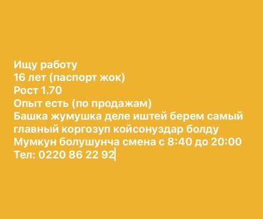 сметчик без опыта: Кассир, До 1 года опыта, Мужчина