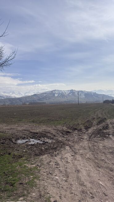 Продажа участков: 385 соток, Для сельского хозяйства, Договор дарения — 2