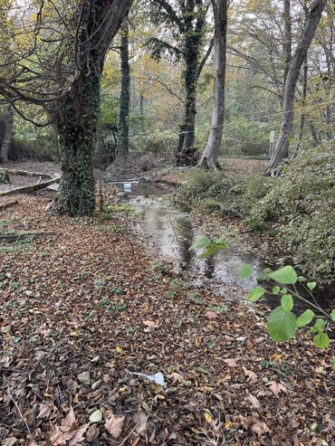 Kommersiya daşınmaz əmlakının satışı: Təcili satılır 28-sot (KUPCA CIXARIŞ TEXNİKİ PASPORT DAİMİ MÜLKİYƏT -da lalafo.az — 13 Kommersiya daşınmaz əmlakının satışı: Təcili satılır 28-sot (KUPCA CIXARIŞ TEXNİKİ PASPORT DAİMİ MÜLKİYƏT — 13