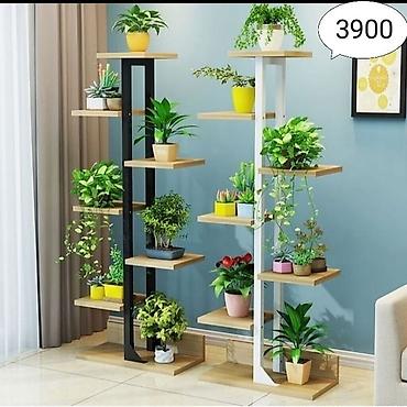 Тележки-органайзеры на колесах: Этажерки/стеллажи для комнатных растений - Дизайн: современные — 28
