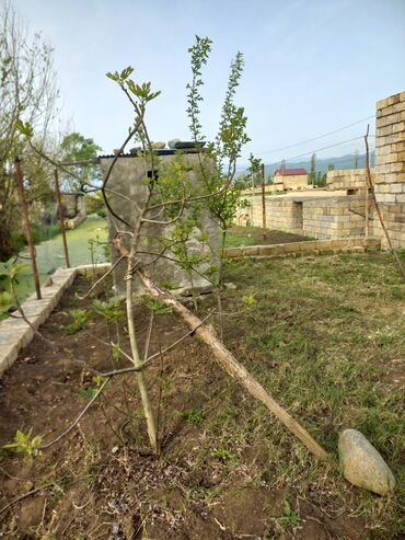 Torpaq sahələrinin satışı: Tikinti — 16