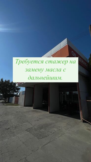 Другие автоспециальности: Требуется работник, Оклад+Процент, Оплата Ежедневно, Без опыта